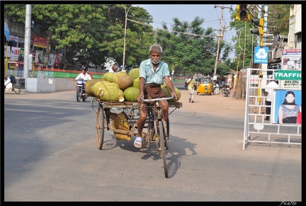 05-Tanjore 081