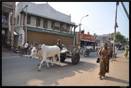 05-Tanjore 093