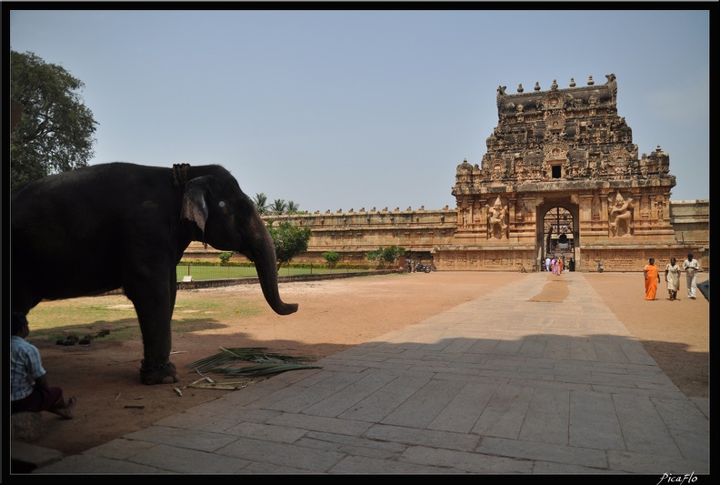 05-Tanjore_169.jpg