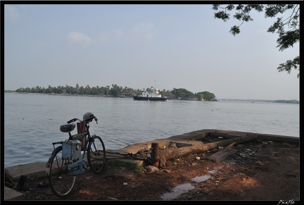 10-Cochin 048