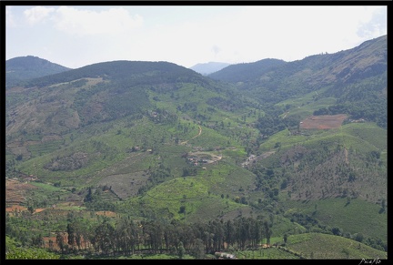 11-Ooty 144