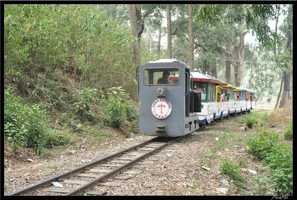 11-Ooty 304