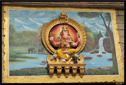 13-Mysore 317