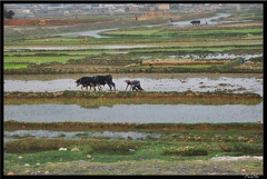 Mada 02-RN7 Antsirabe Fianarantsoa 008