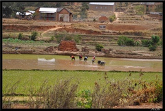 Mada 02-RN7 Antsirabe Fianarantsoa 051