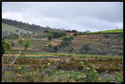 Mada 03-Fianarantsoa vers Manakara en train 037