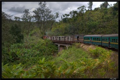 Mada 03-Fianarantsoa vers Manakara en train 094