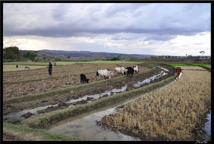 Mada 16-Randonnee des Hautes Terres 194