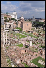 Rome 06 Mont Palatin et Capitole 033