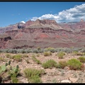 03 Grand Canyon Bright Angel trail 0083