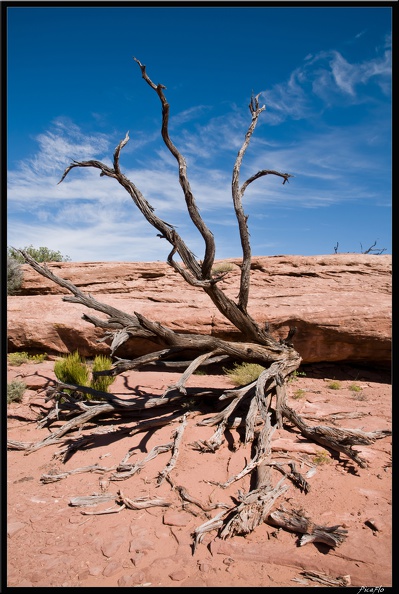 07_1_Canyonland-Murphy_trail_0022.jpg