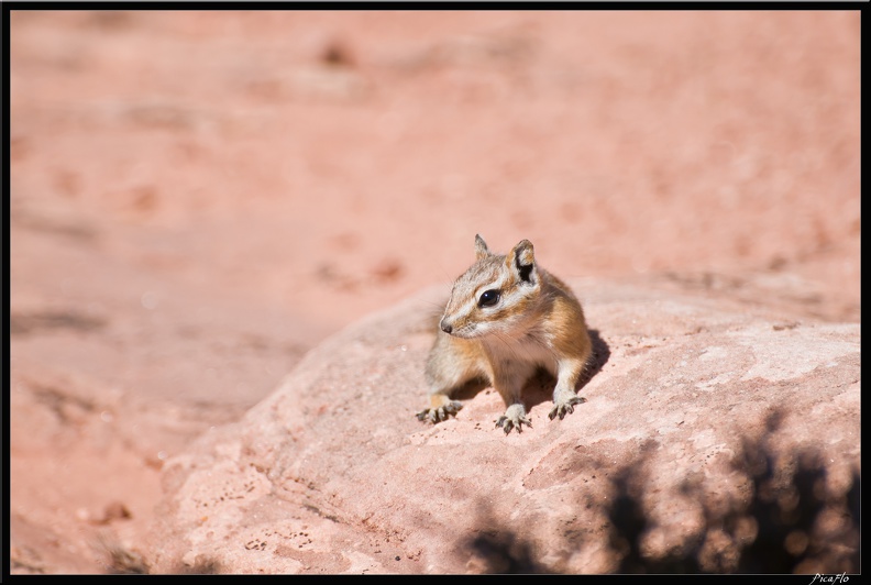 07_1_Canyonland-Murphy_trail_0052.jpg