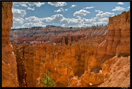 10 Bryce canyon 0099