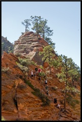 12 Zion West Rim trail et Angle Landings 0014