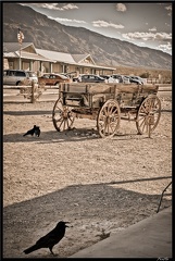 14 2 Death Valley et Route vers Bishop 0041