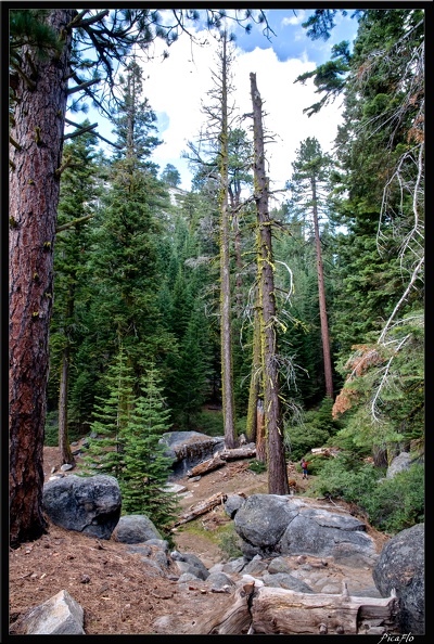 16_Yosemite_Falls_trail_0030.jpg