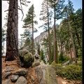16 Yosemite Falls trail 0031