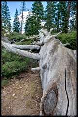 16 Yosemite Falls trail 0034