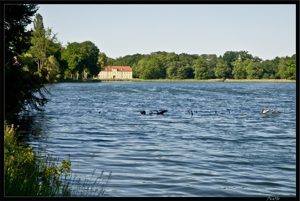 12 Potsdam Cecilienhof 015