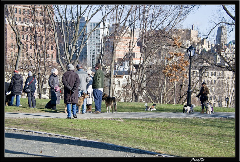 NYC 05 Central Park 0003