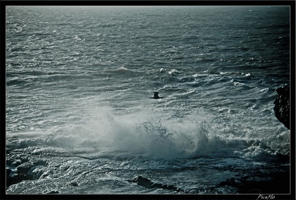 Essaouira 004