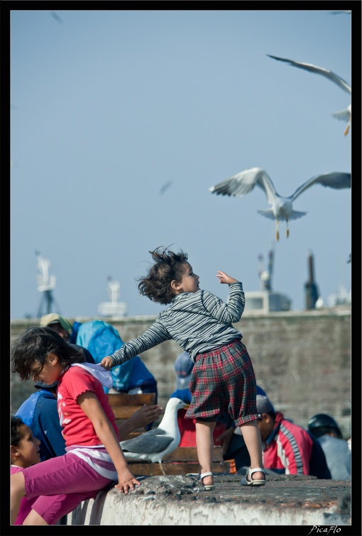 Essaouira 034