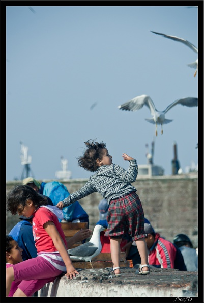 Essaouira_034.jpg