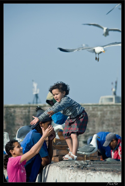 Essaouira_036.jpg