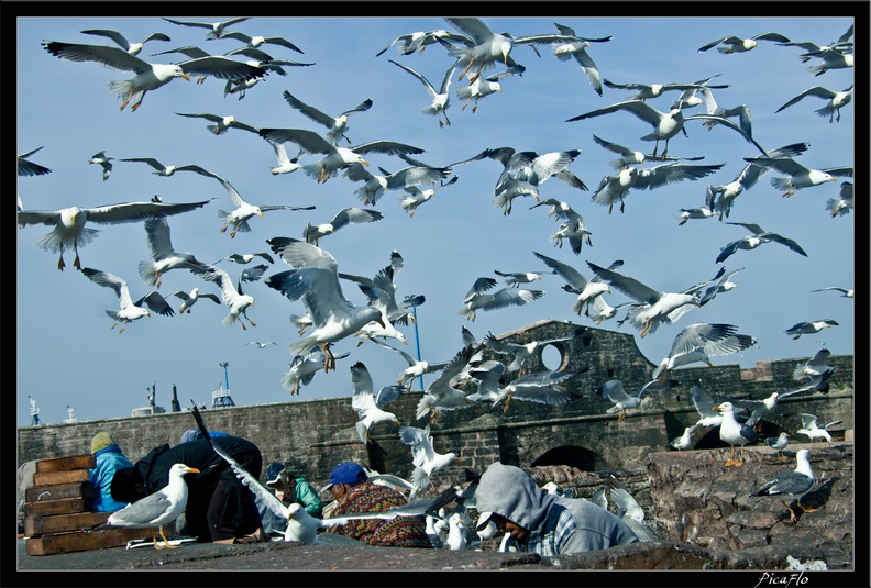 Essaouira_048.jpg