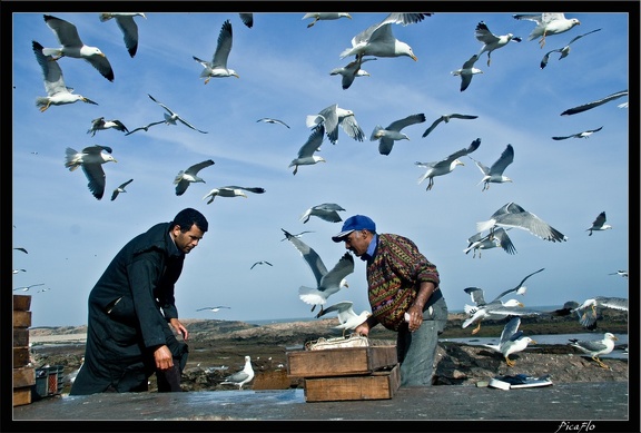 Essaouira 053