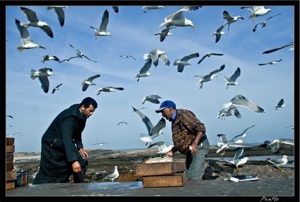 Essaouira 053