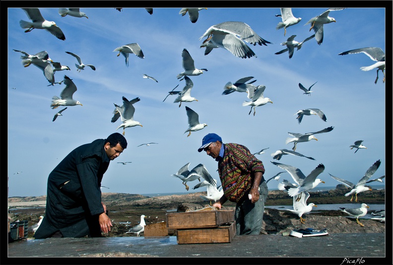 Essaouira_054.jpg