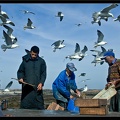 Essaouira 055