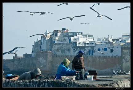 Essaouira 062