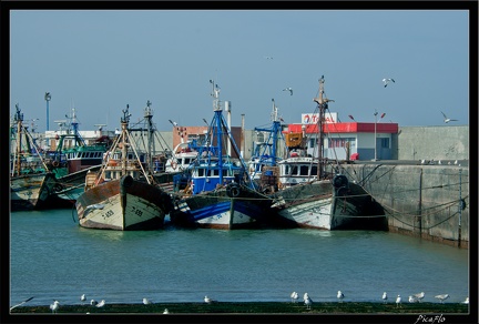 Essaouira 076