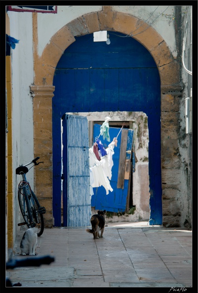 Essaouira_115.jpg