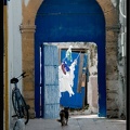 Essaouira 115