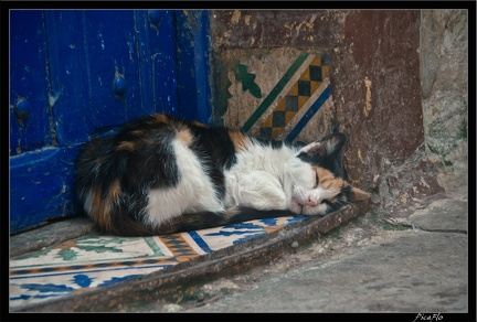 Essaouira 116