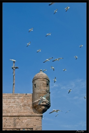 Essaouira 174