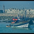 Essaouira 176