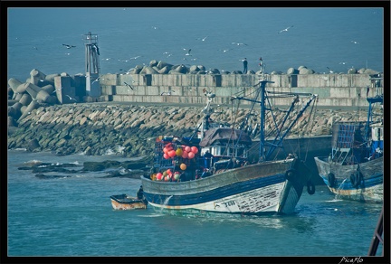 Essaouira 176