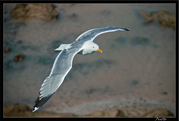 Essaouira 178