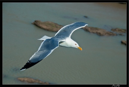 Essaouira 179