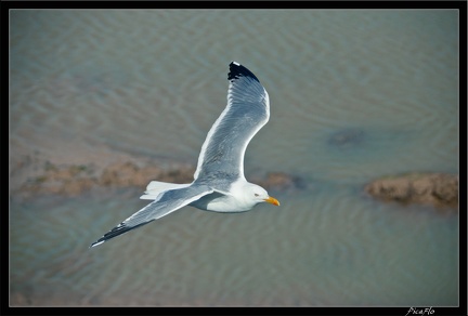 Essaouira 181