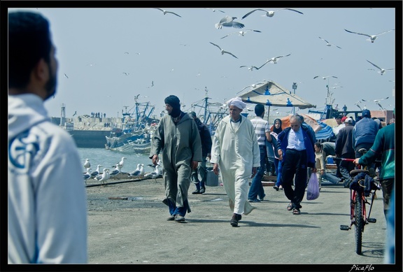 Essaouira 196