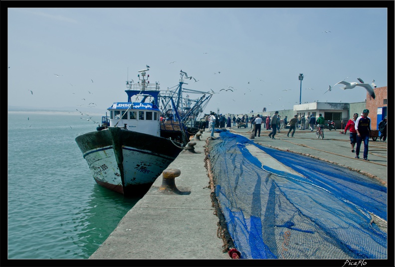 Essaouira_199.jpg