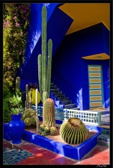 Marrakech jardins Majorelle 52