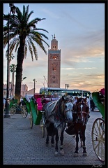 Marrakech place Djemaa El Fna 38