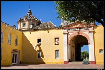 Seville 03 La Cartuja 05