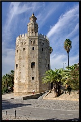 Seville 05 Torre del Oro 03